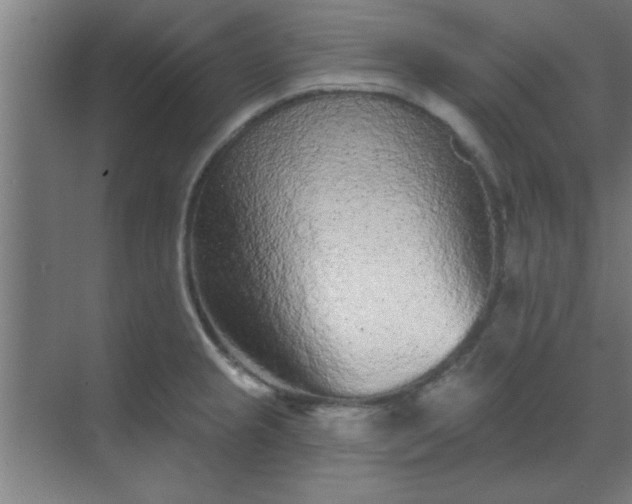 X0000069791237200605261648