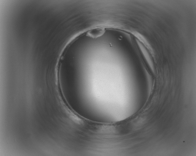 X0000069791238200605261648