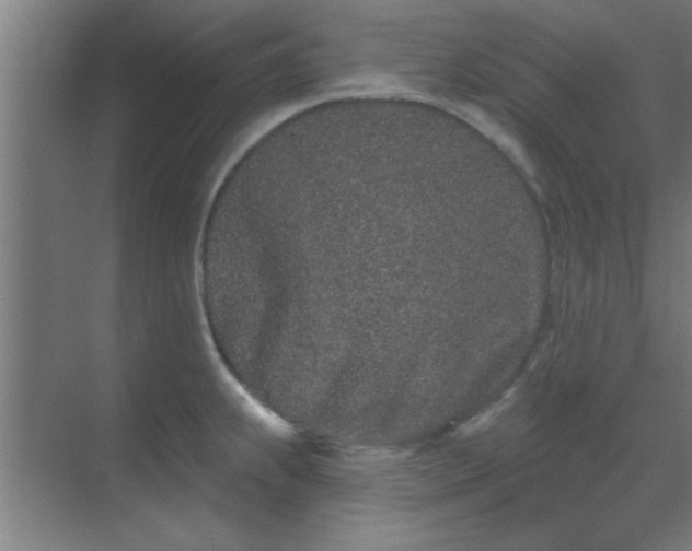 X0000069791239200605261648