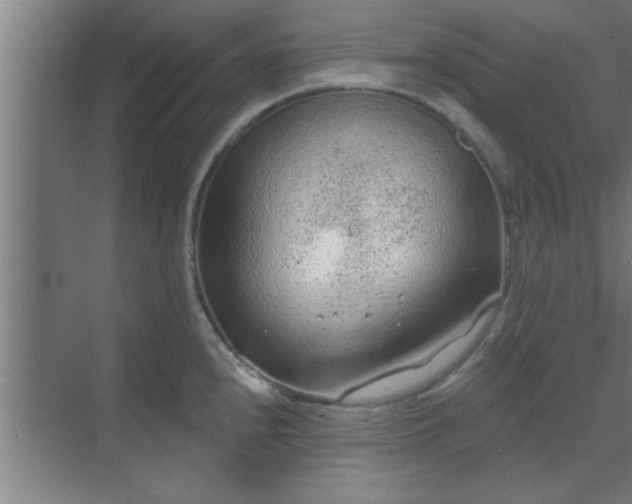 X0000069791240200605261648