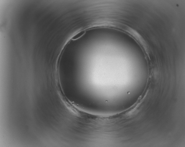 X0000069791242200605261648