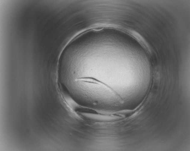 X0000069791244200605261648