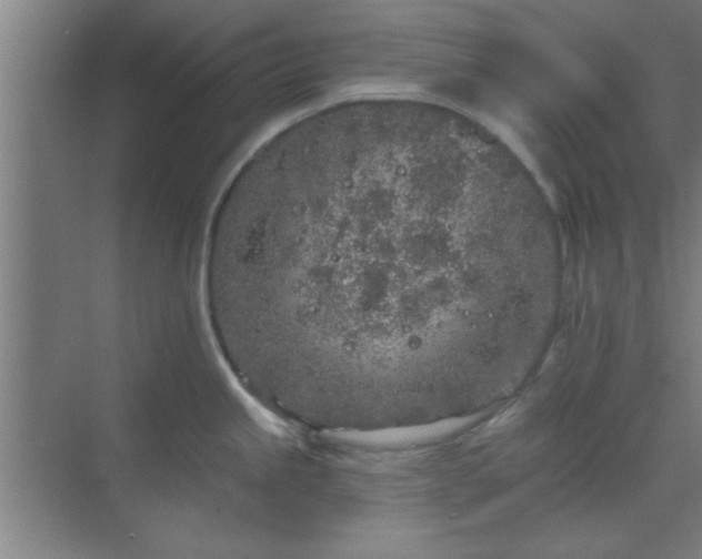 X0000069791245200605261648