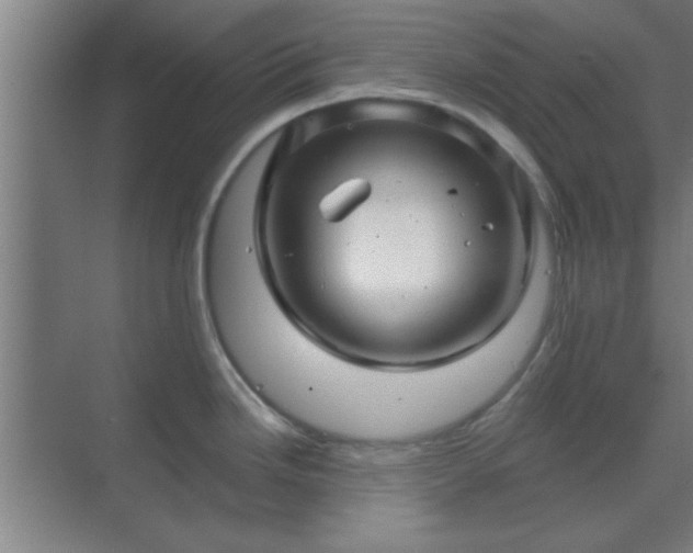 X0000069791246200605261648