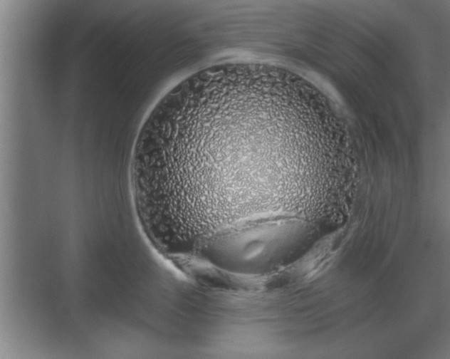 X0000069791247200605261648