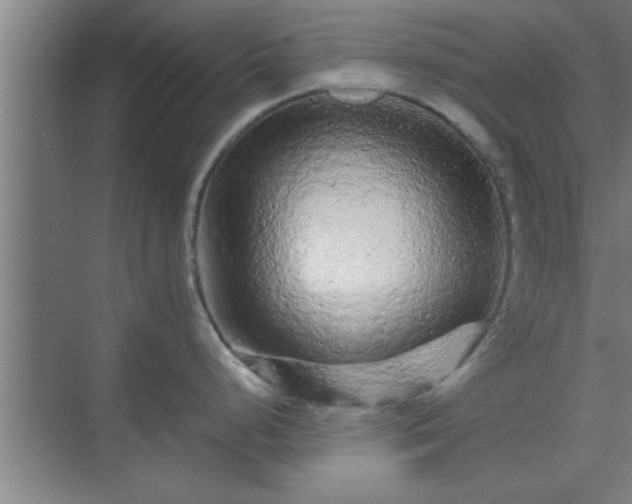 X0000069791248200605261648