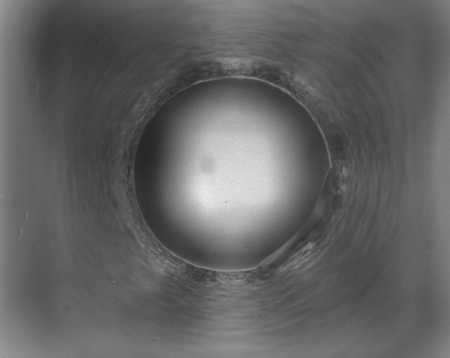 X0000069791249200605261648