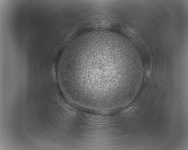 X0000069791252200605261648