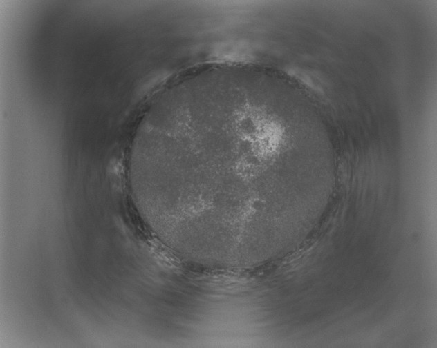 X0000069791254200605261648