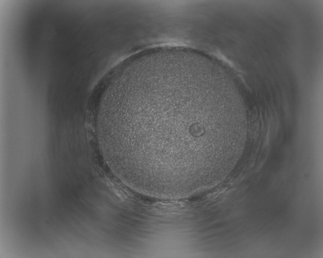 X0000069791255200605261648