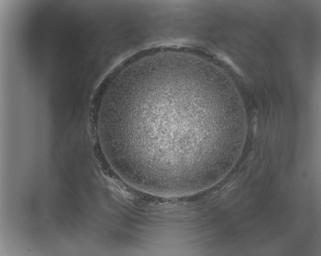 X0000069791256200605261647