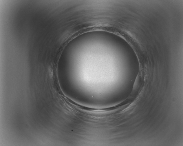 X0000069791257200605261647