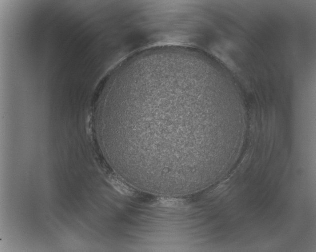 X0000069791258200605261647