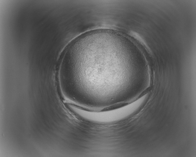 X0000069791260200605261647