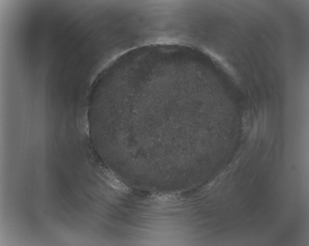 X0000069791262200605261647