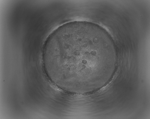 X0000069791263200605261647