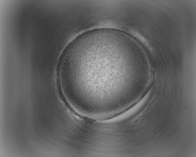 X0000069791264200605261647