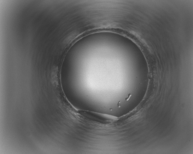 X0000069791265200605261647