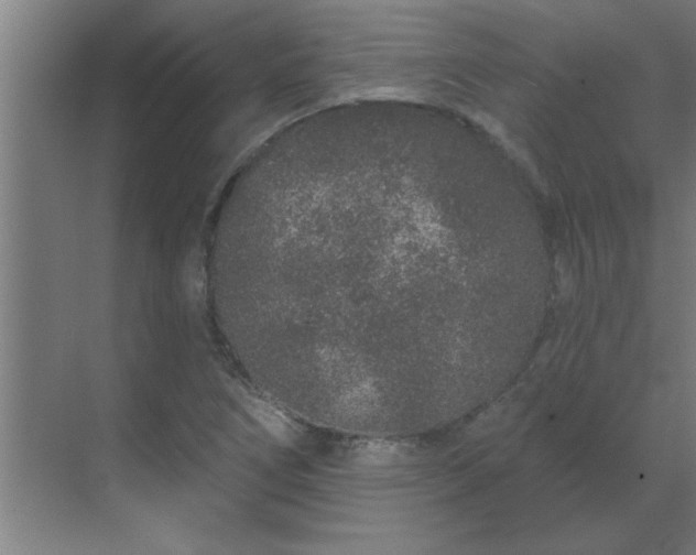 X0000069791266200605261647