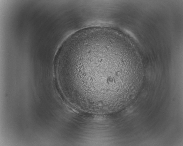 X0000069791267200605261647