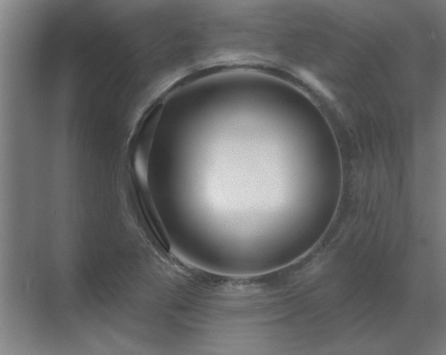 X0000069791269200605261647