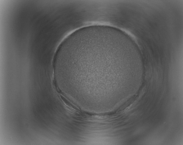 X0000069791271200605261647