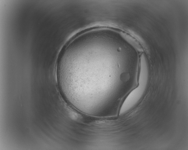 X0000069791272200605261647