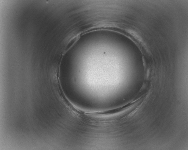 X0000069791273200605261647