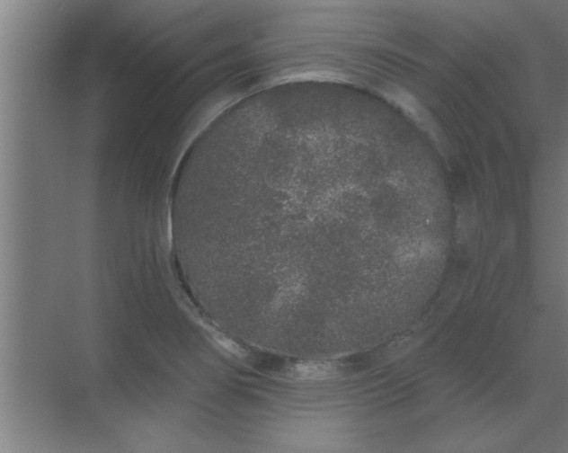 X0000069791274200605261647