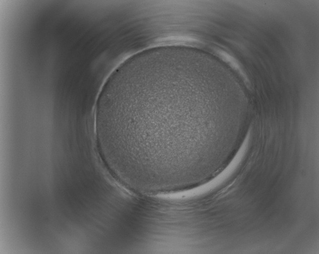 X0000069791275200605261647