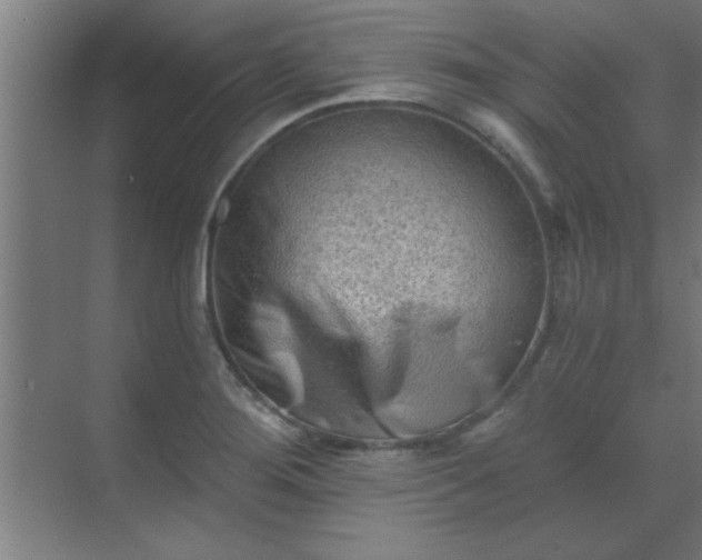 X0000069791276200605261647