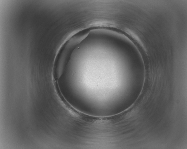 X0000069791277200605261647