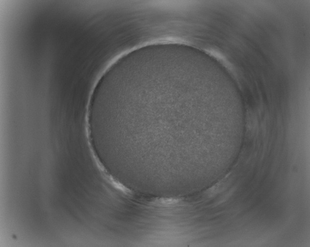 X0000069791278200605261647