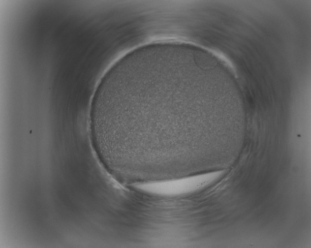 X0000069791279200605261647