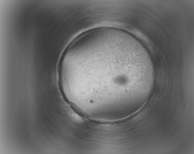 X0000069791280200605261647