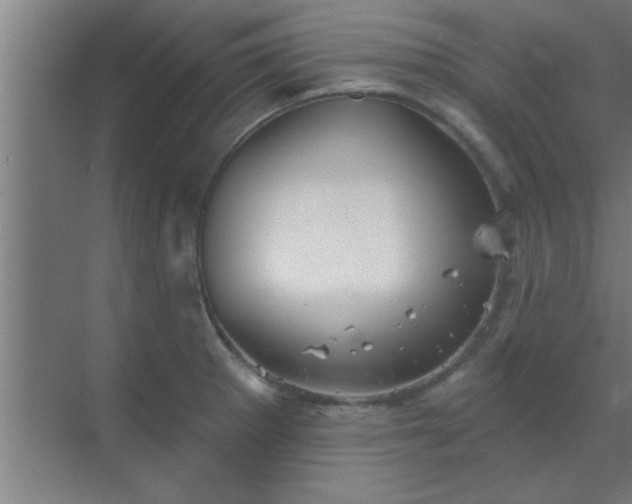 X0000069791281200605261647