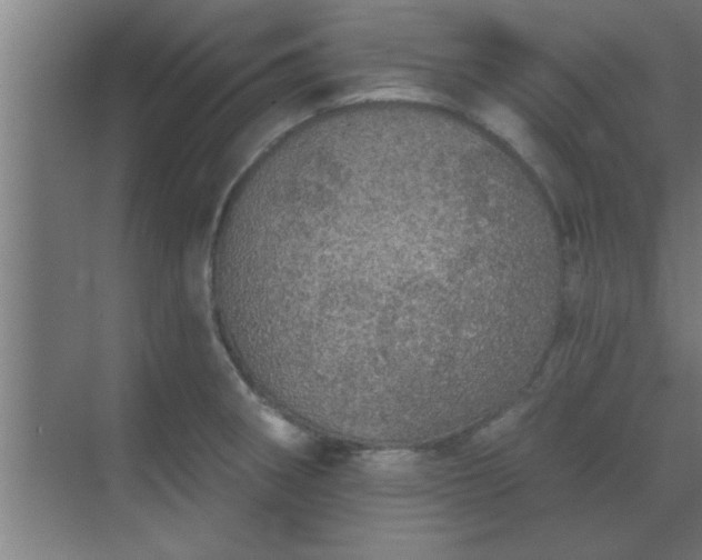 X0000069791282200605261647