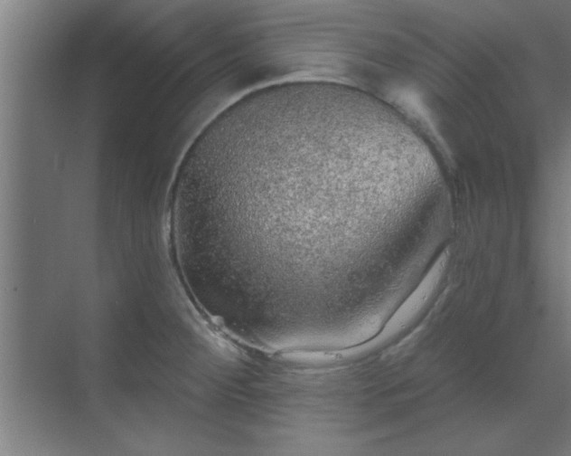 X0000069791284200605261647