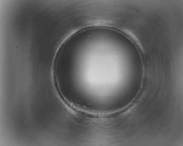 X0000069791285200605261647