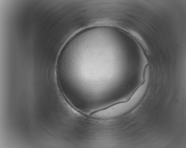 X0000069791288200605261647