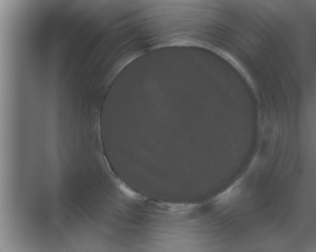 X0000069791289200605261647