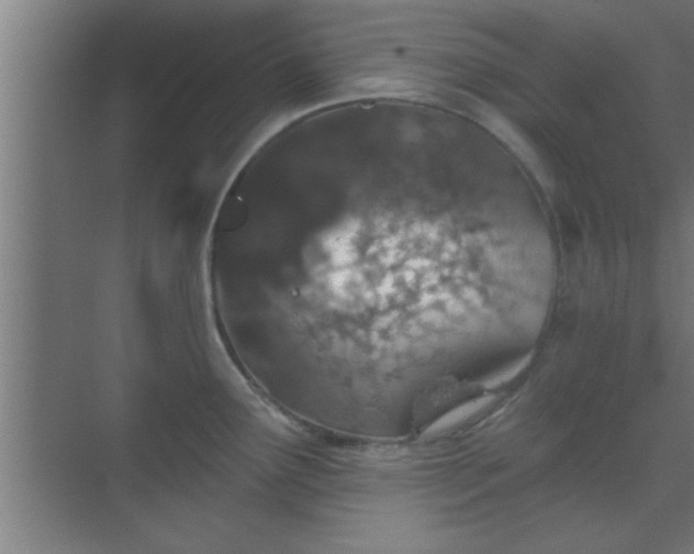 X0000069791291200605261647