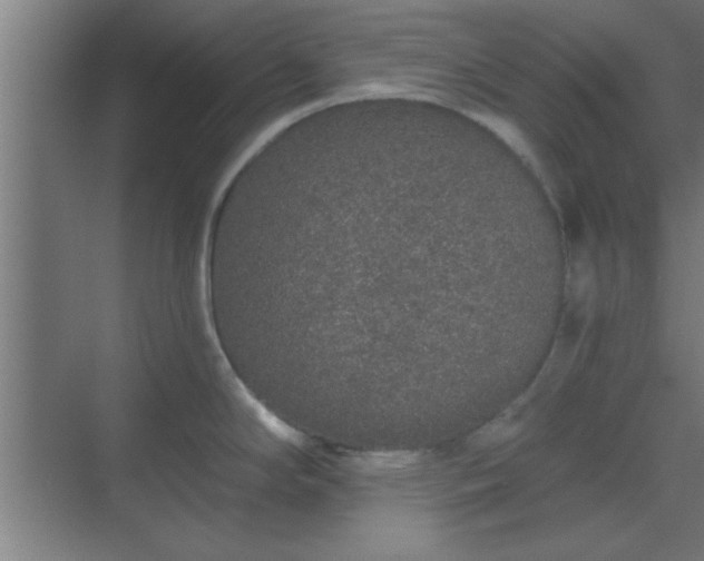 X0000069791294200605261647