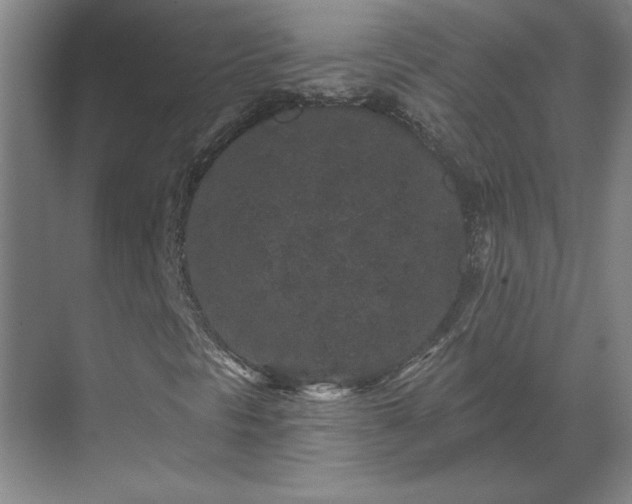 X0000069791297200605261646