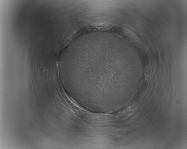 X0000069791298200605261646