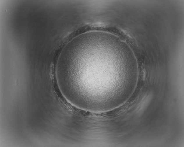 X0000069791301200605261646