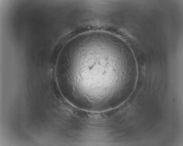 X0000069791302200605261646