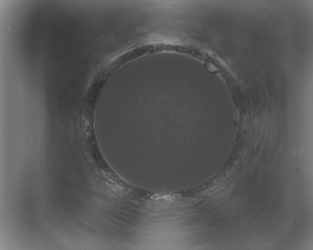 X0000069791303200605261646