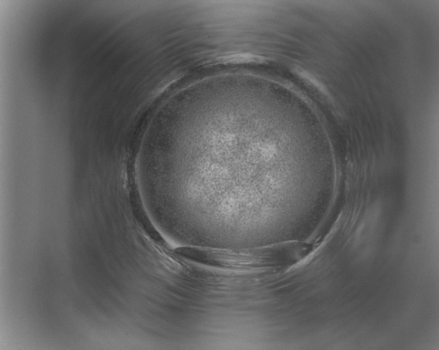 X0000069791305200605261646