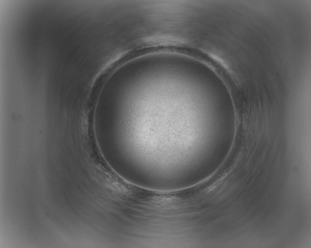 X0000069791309200605261646